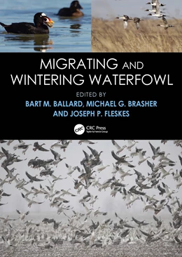 Abbildung von Ballard / Brasher | Migrating and Wintering Waterfowl | 1. Auflage | 2026 | beck-shop.de