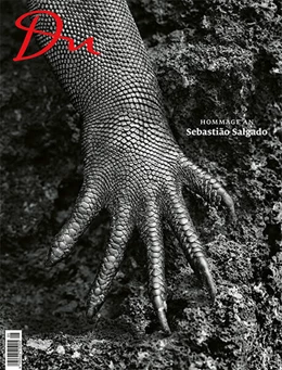 Abbildung von Prange | Hommage an Sebastião Salgado | 1. Auflage | 2025 | beck-shop.de