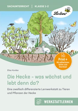 Abbildung von Kordas | Die Hecke - was wächst und lebt denn da | 1. Auflage | 2025 | beck-shop.de