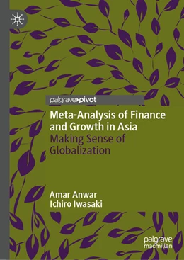 Abbildung von Anwar / Iwasaki | Meta-Analysis of Finance and Growth in Asia | 1. Auflage | 2026 | beck-shop.de