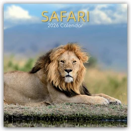 Abbildung von Gifted | Safari 2026 - 16-Monatskalender | 1. Auflage | 2025 | beck-shop.de