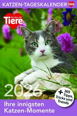 Abbildung von Katzen Tageskalender 2026 | 1. Auflage | 2025 | beck-shop.de