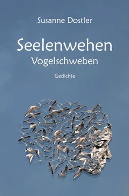 Abbildung von Dostler | Seelenwehen | 1. Auflage | 2025 | beck-shop.de