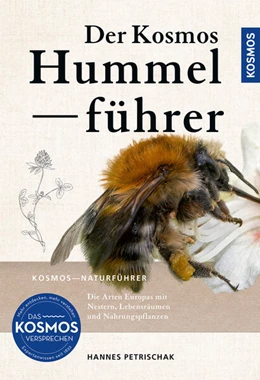 Abbildung von Petrischak | Der KOSMOS Hummelführer | 1. Auflage | 2026 | beck-shop.de