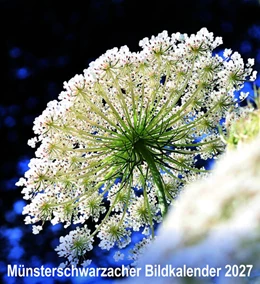 Abbildung von Abtei Münsterschwarzach | Münsterschwarzacher Bildkalender 2027 | 1. Auflage | 2026 | beck-shop.de