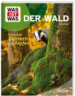 Abbildung von Kinast | WAS IST WAS Der Wald. Zwischen Blättern und Zapfen | 1. Auflage | 2026 | beck-shop.de