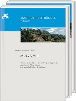 Abbildung von Schattner | Mulva VIII. Die wirtschaftlichen Grundlagen von Munigua | 1. Auflage | 2025 | beck-shop.de