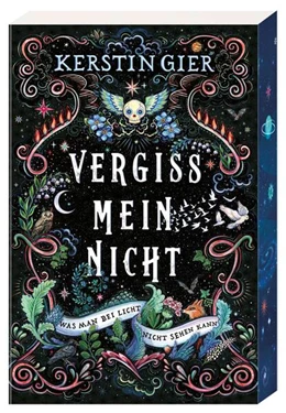 Abbildung von Gier | Vergissmeinnicht - Was man bei Licht nicht sehen kann | 1. Auflage | 2026 | beck-shop.de