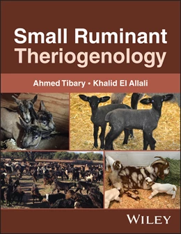Abbildung von Tibary / El Allali | Small Ruminant Theriogenology | 1. Auflage | 2026 | beck-shop.de