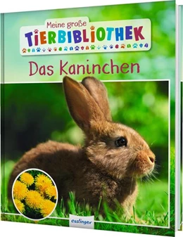Abbildung von Gutjahr | Meine große Tierbibliothek: Das Kaninchen | 1. Auflage | 2026 | beck-shop.de