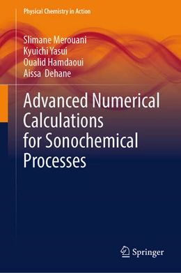 Abbildung von Merouani / Yasui | Advanced Numerical Calculations for Sonochemical Processes | 1. Auflage | 2025 | beck-shop.de