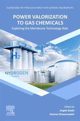 Abbildung von Basile / Ghasemzadeh | Power Valorization to Gas Chemicals | 1. Auflage | 2026 | beck-shop.de