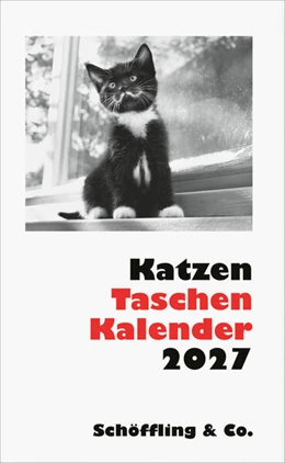 Abbildung von Bachstein | Katzen Taschenkalender 2027 | 1. Auflage | 2026 | beck-shop.de