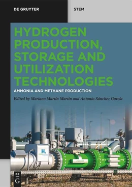 Abbildung von Martín / García | Hydrogen Production, Storage and Utilization Technologies | 1. Auflage | 2026 | beck-shop.de