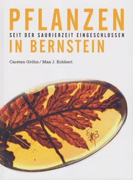 Abbildung von Ambertop / Gröhn | Pflanzen in Bernstein | 2. Auflage | 2025 | beck-shop.de