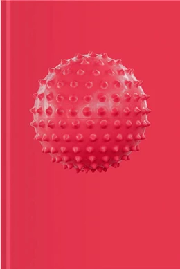 Abbildung von Häusle / Kunstraum | Sophie Hirsch | 1. Auflage | 2025 | beck-shop.de