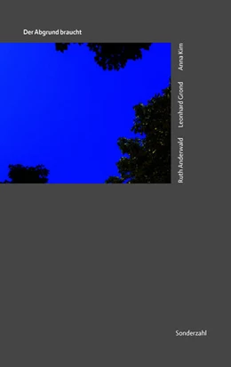 Abbildung von Kim / Anderwald | Der Abgrund braucht | 1. Auflage | 2026 | beck-shop.de