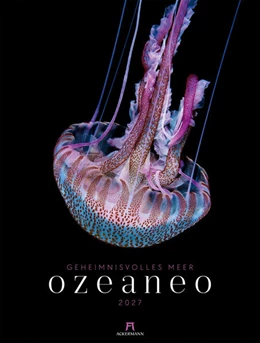 Abbildung von Ackermann Kunstverlag GmbH | Ozeaneo Kalender 2027 | Geheimnisvolles Meer | 1. Auflage | 2026 | beck-shop.de