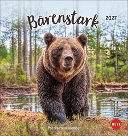 Abbildung von Bärenstark Postkartenkalender 2027 | 1. Auflage | 2026 | beck-shop.de