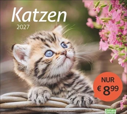 Abbildung von Heye | times&more Katzen Bildkalender 2027 | 1. Auflage | 2026 | beck-shop.de