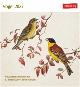 Abbildung von Vögel Postkartenkalender 2027 - Postkartenkalender mit 53 historischen Zeichnungen | 1. Auflage | 2026 | beck-shop.de