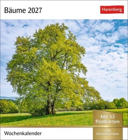 Abbildung von Harenberg | Bäume Postkartenkalender 2027 - Wochenkalender mit 53 Postkarten | 1. Auflage | 2026 | beck-shop.de