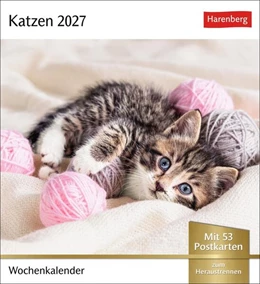 Abbildung von Harenberg | Katzen Postkartenkalender 2027 - Wochenkalender mit 53 Postkarten | 1. Auflage | 2026 | beck-shop.de
