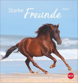 Abbildung von Pferde Postkartenkalender 2027 - Starke Freunde | 1. Auflage | 2026 | beck-shop.de
