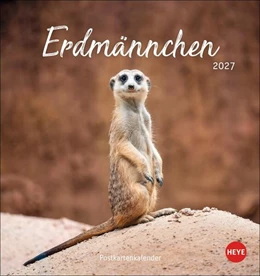 Abbildung von Heye | Erdmännchen Postkartenkalender 2027 | 1. Auflage | 2026 | beck-shop.de