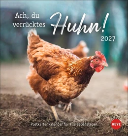 Abbildung von Hühner Postkartenkalender 2027 - Ach, du verrücktes Huhn! | 1. Auflage | 2026 | beck-shop.de
