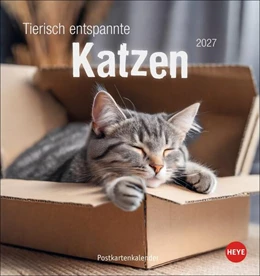Abbildung von Heye | Tierisch entspannte Katzen Postkartenkalender 2027 | 1. Auflage | 2026 | beck-shop.de