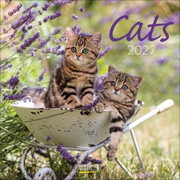 Abbildung von Korsch | Cats 2027 | 1. Auflage | 2026 | beck-shop.de
