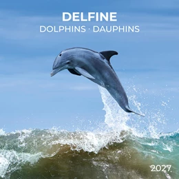 Abbildung von Delfine / Dolphins 2027 | 1. Auflage | 2026 | beck-shop.de