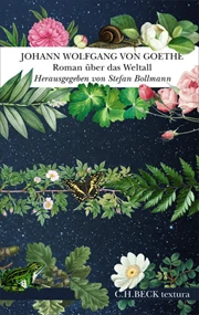 Cover: Johann Wolfgang von Goethe, Roman über das Weltall