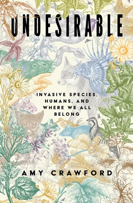 Abbildung von Crawford | Undesirable | 1. Auflage | 2026 | beck-shop.de