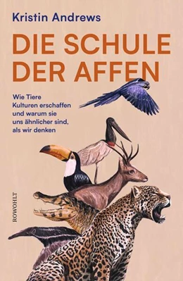 Abbildung von Andrews | Die Schule der Affen | 1. Auflage | 2027 | beck-shop.de