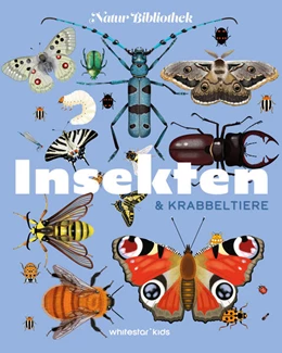Abbildung von Cocai Design / Miserocchi | Natur-Bibliothek Insekten & Krabbeltiere | 1. Auflage | 2026 | beck-shop.de