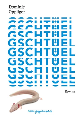 Abbildung von Oppliger | Gschtüel | 1. Auflage | 2026 | beck-shop.de