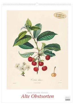 Abbildung von DUMONT Kalender | Alte Obstsorten 2027 | 1. Auflage | 2026 | beck-shop.de