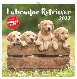 Abbildung von Alpha Edition | Labrador Retriever 2027 | 1. Auflage | 2026 | beck-shop.de
