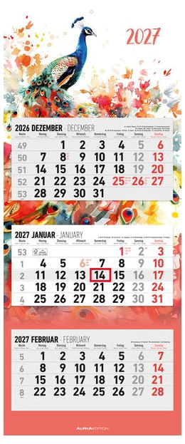 Abbildung von Alpha Edition | 3-Monatskalender Design 2027 | 1. Auflage | 2026 | beck-shop.de