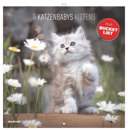 Abbildung von Neumann Verlage GmbH & Co KG | Katzenbabys 2027 | 1. Auflage | 2026 | beck-shop.de