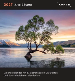 Abbildung von Alte Bäume - KUNTH Postkartenkalender 2027 | 3. Auflage | 2026 | beck-shop.de