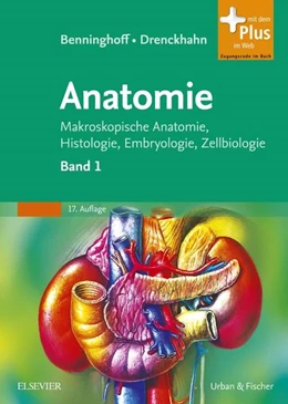 Abbildung von Benninghoff / Drenckhahn | Anatomie | 17. Auflage | 2008 | beck-shop.de