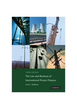 Abbildung von Hoffman | The Law and Business of International Project Finance | 3. Auflage | 2007 | beck-shop.de