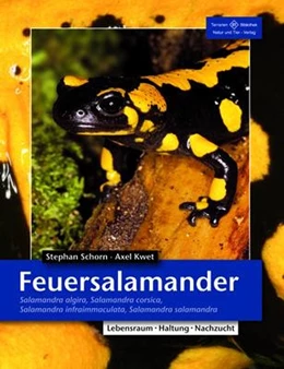 Abbildung von Schorn / Kwet | Feuersalamander | 1. Auflage | 2010 | beck-shop.de