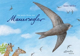 Abbildung von Möller | Die weite Reise der Mauersegler | 1. Auflage | 2011 | beck-shop.de