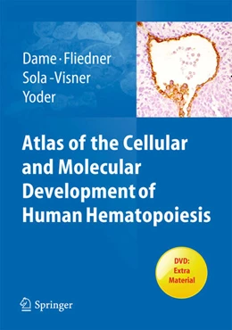 Abbildung von Dame / Fliedner | Atlas of the Cellular and Molecular Development of Human Hematopoiesis | 1. Auflage | 2027 | beck-shop.de