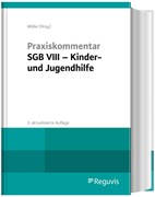 Cover Praxiskommentar SGB VIII - Kinder- und Jugendhilfe