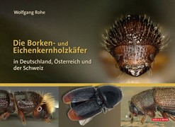 Cover Die Borkenkäfer Deutschlands, Österreichs und der Schweiz